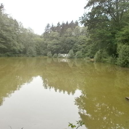 Gite Le Sous-Bois Cerfontaine Exteriör bild