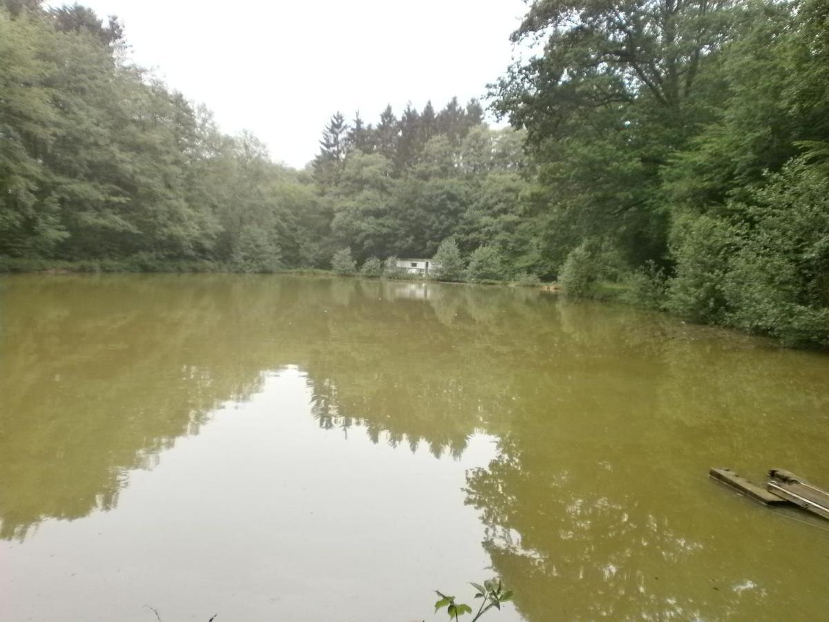 Gite Le Sous-Bois Cerfontaine Exteriör bild