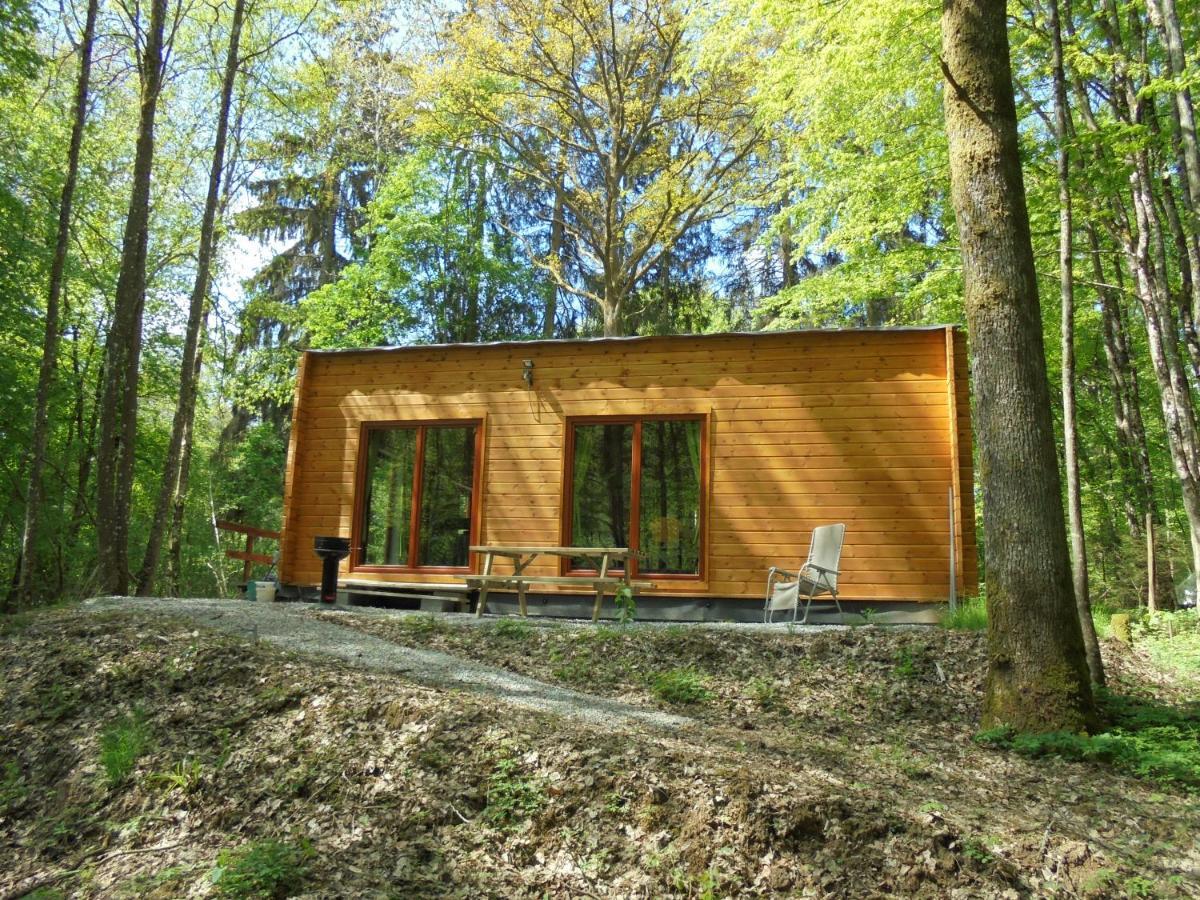 Gite Le Sous-Bois Cerfontaine Exteriör bild